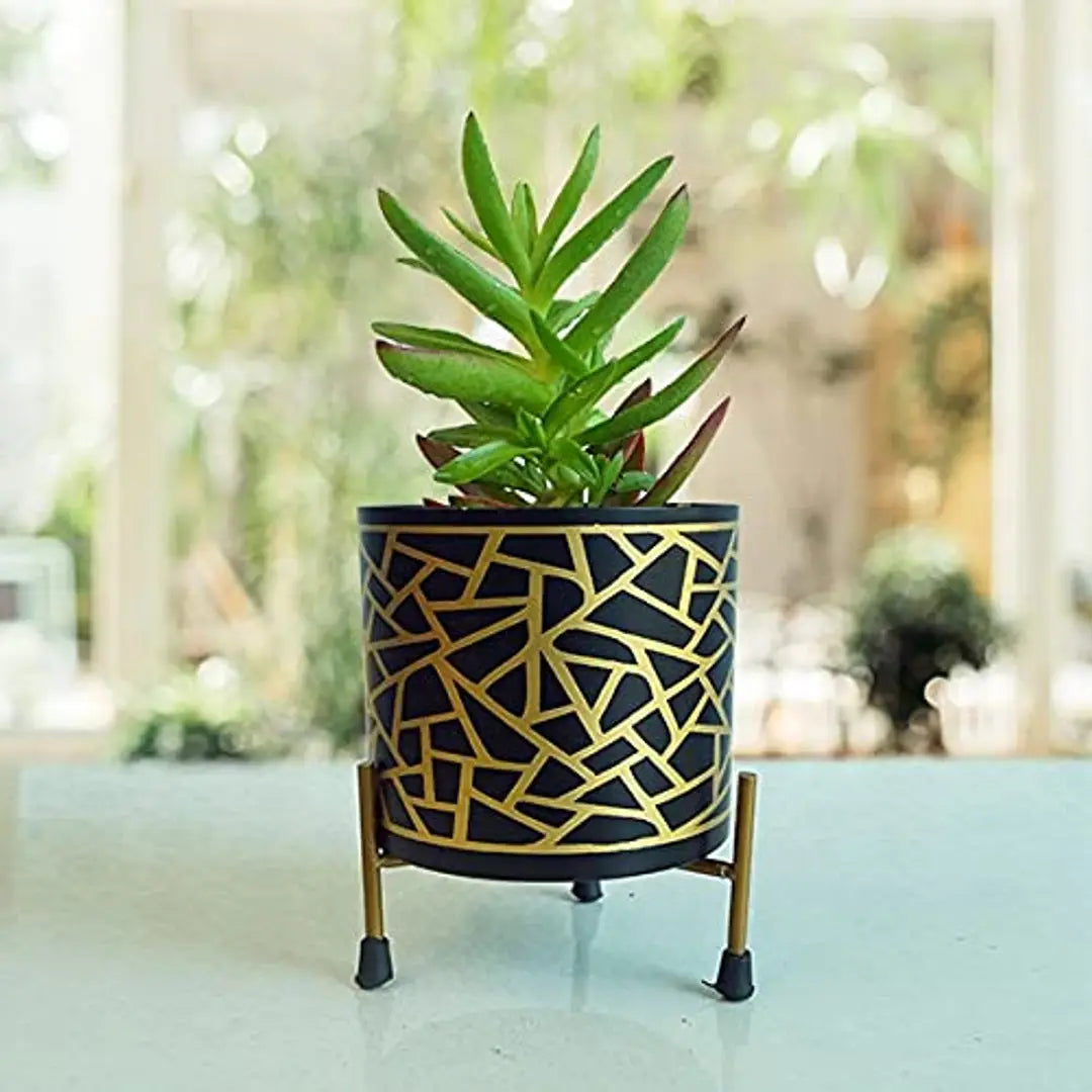 GreyFox Golden Print Metal Pot with Stand for Home and Garden Decor.(Without Plant)